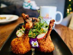 -百好乐宠物友好餐厅(朝外大街店)