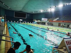 -重庆市奥林匹克体育中心-游泳跳水馆