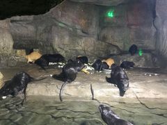 -泉城欧乐堡海洋极地世界