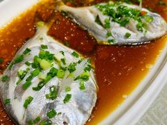 -星龙海鲜(望江东路店)