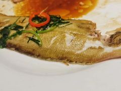 -八仔大富楼·河鲜(西江店)