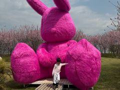 -福建鲤鱼洲酒店