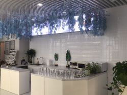 -黎蓓露·徒手骨雕蛋白抗衰·调肤管理