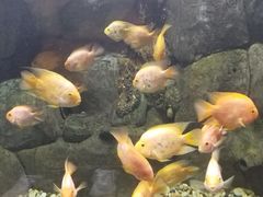 -苏州海洋馆