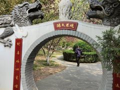 -桃花堤公园