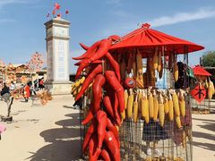 -镇北堡西部影城