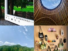 -阿露佳·舌尖上的安吉菜