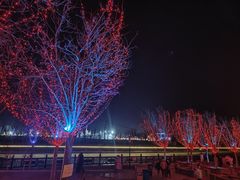 -杨柳青古镇