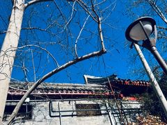 -元大都城垣遗址公园