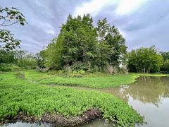 -桤木河湿地公园