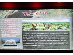 -嘉荫恐龙国家地质公园