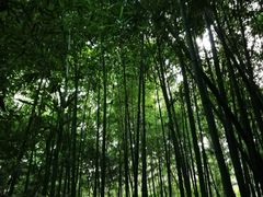 -四门塔风景区