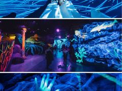 -海合安天津极地海洋公园