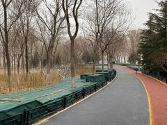 -大兴滨河森林公园