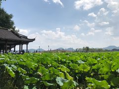 -西湖游船