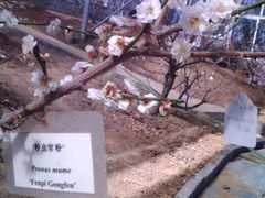-北京鹫峰国家森林公园