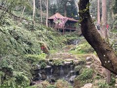 -青城山