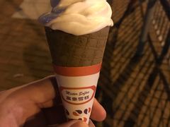 -富豪雪糕车流动点(尖沙咀店)