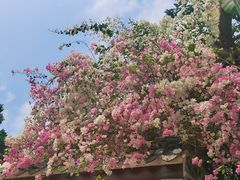 -深圳国际园林花卉博览园