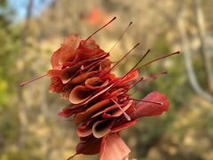 -龙云山风景区-鹿皮关长城