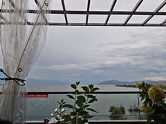-野菌皇海景野生菌火锅(滨海大道店)