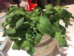 冰菜-蕃茄述·好汤自然来(江汉路店)