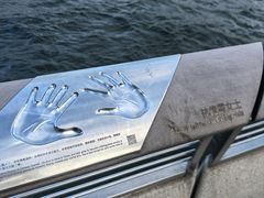 -星光大道