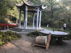 -高尔山公园