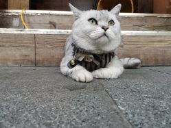 -青木造型HAIR·あおき髪を刈る潮人店