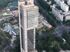 -紫峰大厦