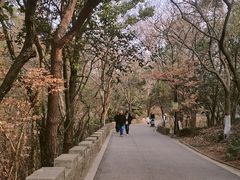 -虞山风景区
