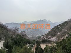 -康陵正德春饼宴26号