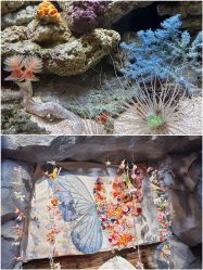 -Zoolung Zoolung动物主题公园(海信广场店)