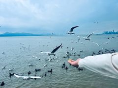 -深圳湾公园(南山区)