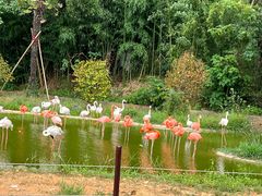 -杭州野生动物世界