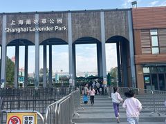 -季高兔窝窝亲子园(上海薰衣草公园店)