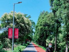 -上海长兴岛郊野公园