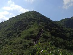 -大岭沟猕猴桃谷风景区