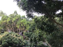 -龙山酒店温泉