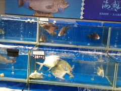-乐海城市广场(同安店)