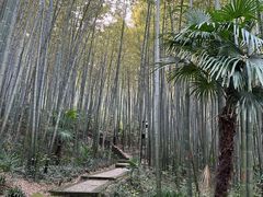 -南山风景名胜区