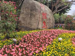 -野狸岛
