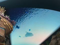 -珠海长隆海洋王国