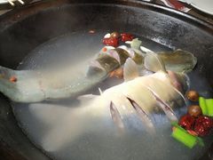 -肥鱼屯活鱼锅(惠工街店)