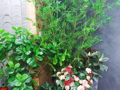 -唐沫茶兮(仓山万达金街店)