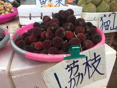 -三宝井