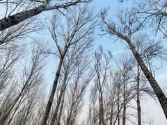 -汉石桥湿地公园