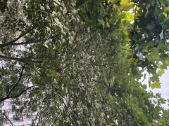 -盘龙城国家考古遗址公园