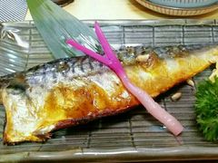 -桥岚·巷子鲜河豚鱼(专门店)