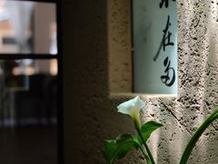 -寂照庵